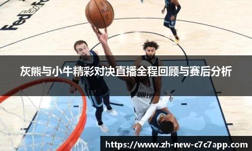 灰熊与小牛精彩对决直播全程回顾与赛后分析